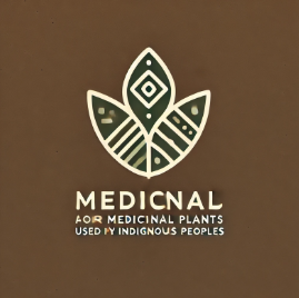 Logo Raízes Ancestrais
